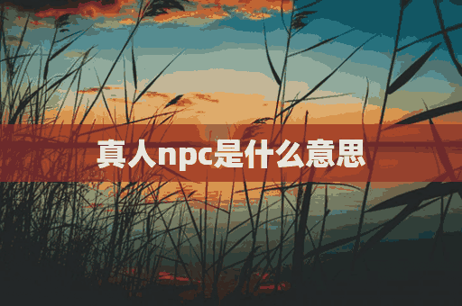 真人npc是什么意思